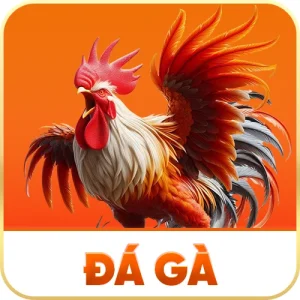 Da-Ga-300x300 (1)